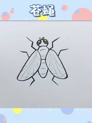 苍蝇的画法简笔画图片图片