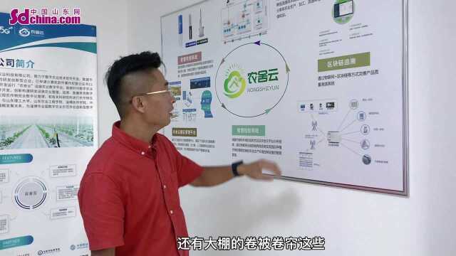 这就是淄博丨齐享智慧农业:“农舍云”实现全产业链数字化