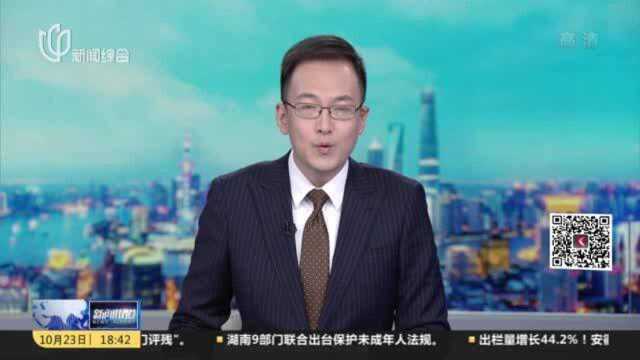 苏州河:2021上海赛艇公开赛拉开大幕