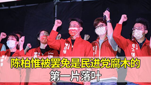 台媒:陈柏惟被罢免是民进党当局腐木的第一片落叶