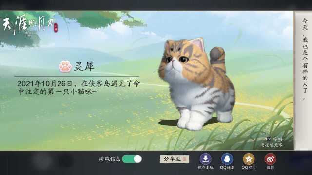 天涯伴我行第79期:猫“啸”八荒,猫之友基础玩法看这里