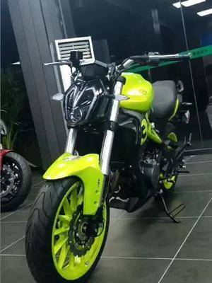 黄龙300:前后abs/led