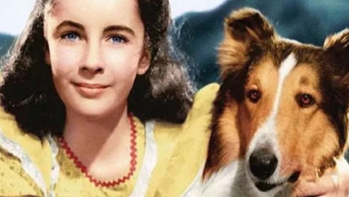 伊丽莎白·泰勒在母亲的督促下，获得了演《灵犬莱西》的资格
