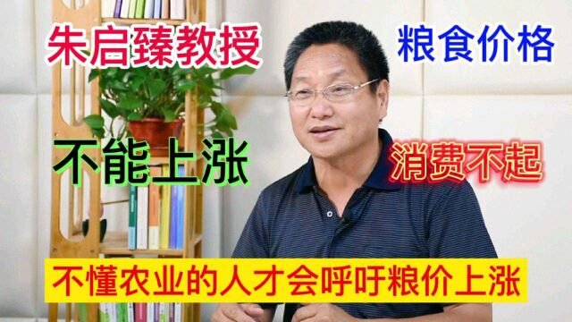 朱启臻教授:粮食价格不能上涨,只有不懂农业的才会呼吁粮价上涨