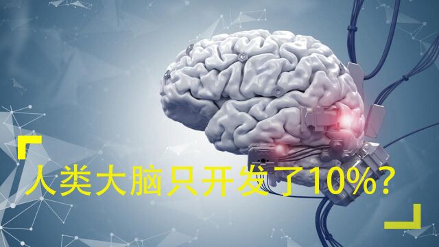 人类大脑仅开发了一点?世纪谎言如何而来?专家:大脑已完全开发