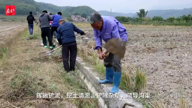 视频 | 共建美好家园!肇庆全面启动“全民义务劳动日”活动