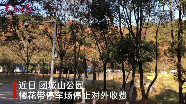 团城山公园停车场免费开放了