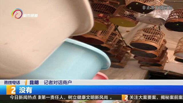 保护候鸟等野生动物 坚决取缔非法制售鸟网等猎捕工具