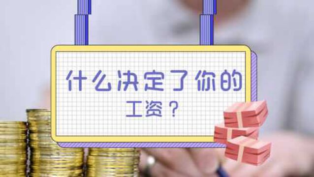 什么决定了你的工资?老板、学历、还是能力?经济学家说:都不是