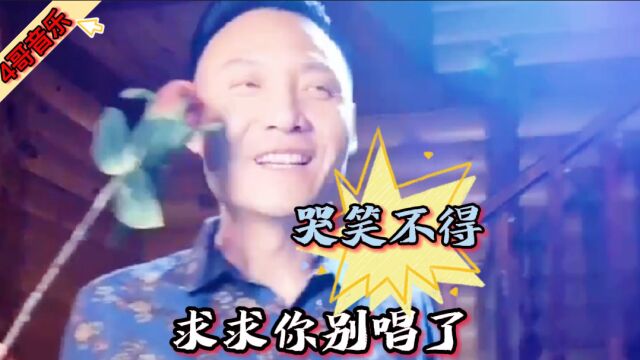 三首开怀大笑的搞笑改编歌曲,歌词幽默画面搞笑,一起来听听吧