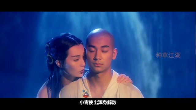 28年后才真正看懂的电影《青蛇》