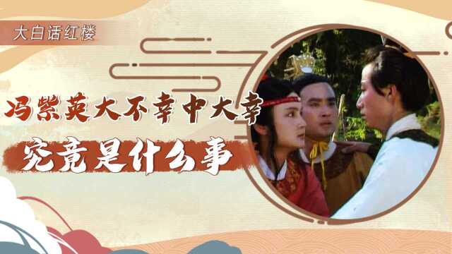 冯紫英的“大不幸之中又大幸”,究竟是什么事