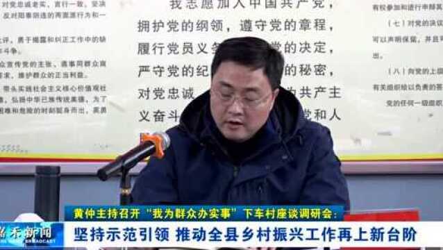 黄仲主持召开“我为群众办实事”下车村座谈调研会:坚持示范引领 推动全县乡村振兴工作再上新台阶