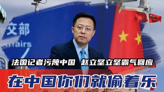 太嚣张!法国记者污蔑中国,赵立坚立坚霸气回应:在中国你们就偷着乐