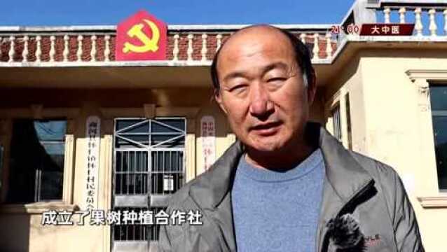 “入土为安”升级“入室为尊”,济南这个村建起祠堂!