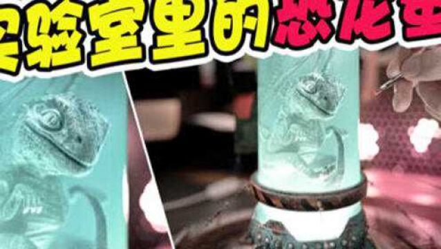 模型:实验室里恐龙是真的吗?