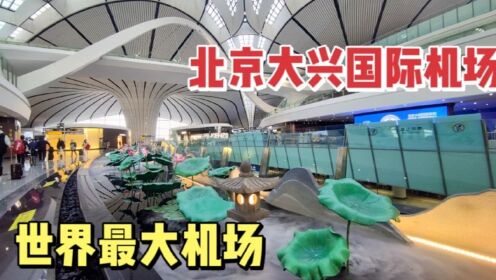 实拍北京大兴国际机场，世界上最大的机场，室内太壮观了！