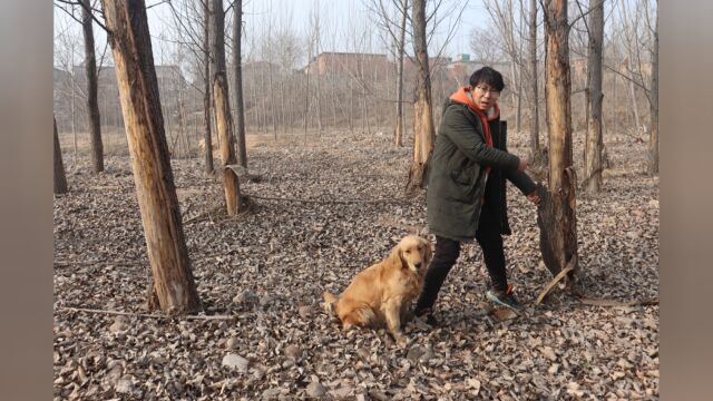 树皮无缘无故脱落,分析原因小亮和金毛各执一词,你们怎么认为?