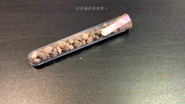 开箱测评猫薄荷实验室让猫咪上瘾的秘密.猫:我已疯!