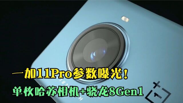 一加11Pro参数曝光!单枚哈苏相机+骁龙8Gen1,同价位无人可敌!