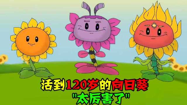 当向日葵活到了120岁!掌握了控制太阳的神力,真厉害