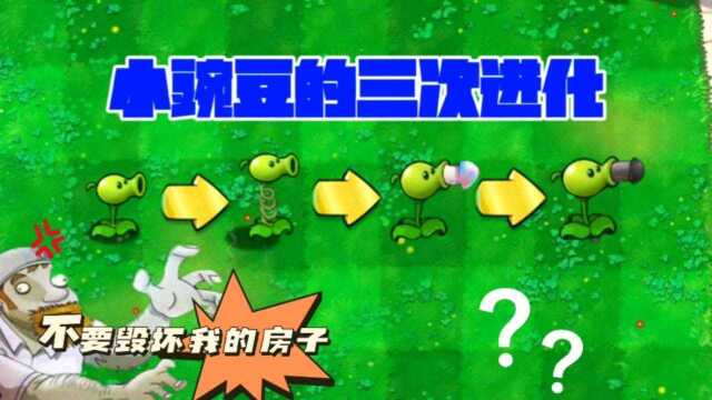 小豌豆的三次进化,第三次直接毁坏戴夫的房子,你敢相信?