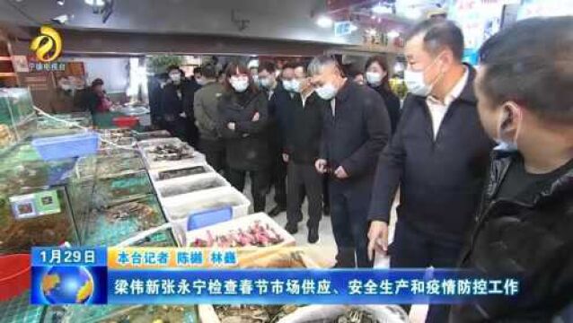 梁伟新张永宁检查春节市场供应、安全生产和疫情防控工作