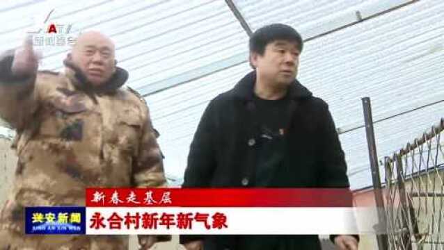 【新春走基层】永合村新年新气象