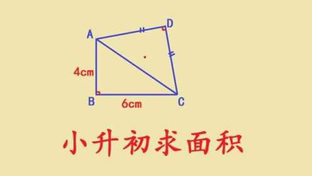 衡水某名校小升初培优题,求四边形ABCD的面积,难住不少尖子生