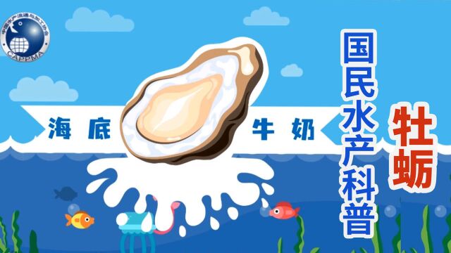 国民水产品消费科普系列:“海中牛奶”牡蛎(生蚝)