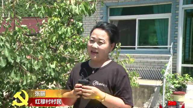 【辽阳先锋】绘就美丽乡村幸福图