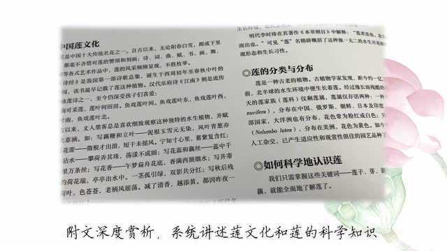 荐读 | 国潮植物学了解一下!我们这个时代的“爱莲说”