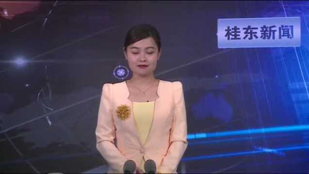 【新春走基层】国网县供电公司:坚守春节保电 筑牢安全防线