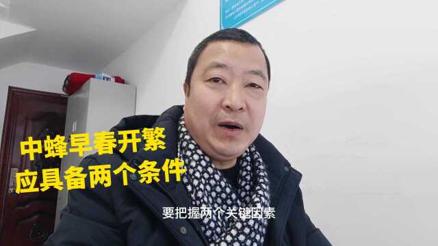 蜜蜂春繁:什么时候开繁才适合?满足2个条件可开繁