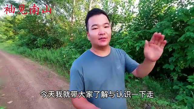 天然“乌发草”找到了,生活中妙用真不少,深得男女朋友的喜欢