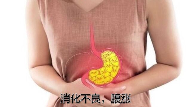 养胃的食物有哪些?这3种食物堪称“养胃高手”,让你告别胃病