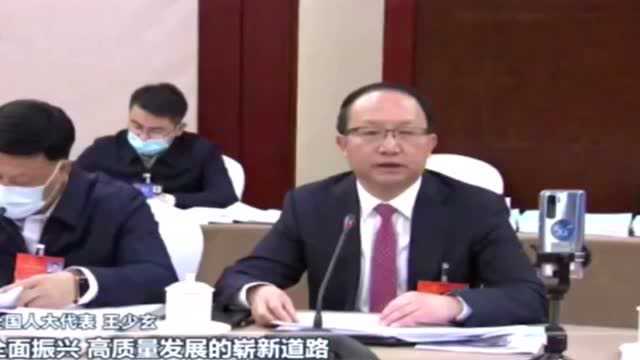 全国人大代表王少玄:全面贯彻“三新一高”要求,推进革命老区高质量发展