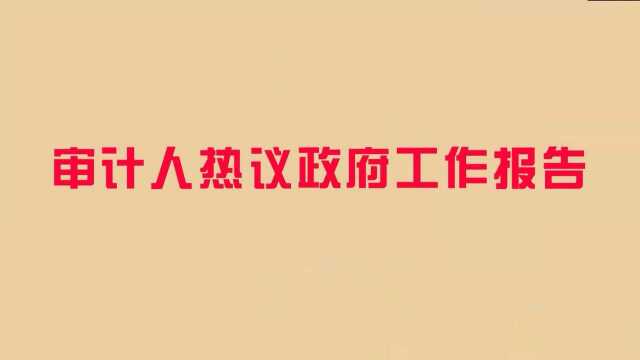 审计人热议政府工作报告——审计署长沙办寇理