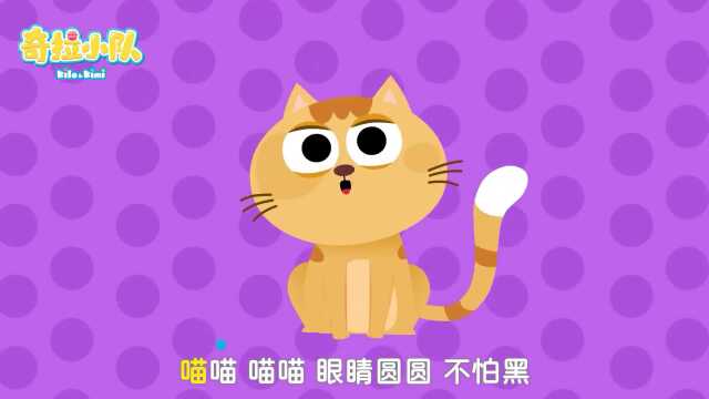 我是一只猫