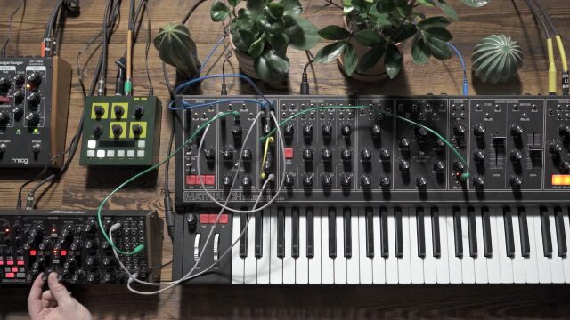 【野雅绫】Moog SemiModular Synthesizers Interconnectivity V