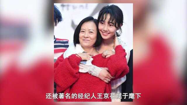 “京圈太子妃”白百何:一指禅事件落马,94亿票房女主能否再翻身