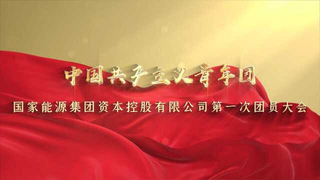 中国共产主义青年团国家能源集团资本控股有限公司第一次团员大会纪实