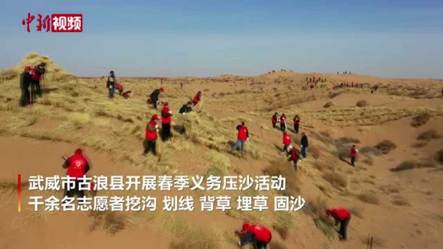 甘肃古浪千余名志愿者“织网锁沙”