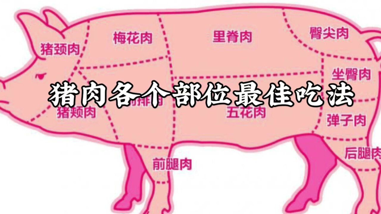 大厨教你认识猪肉各个部位，原来不同部位不一样的做法，涨知识了_高清1080P在线观看平台_腾讯视频