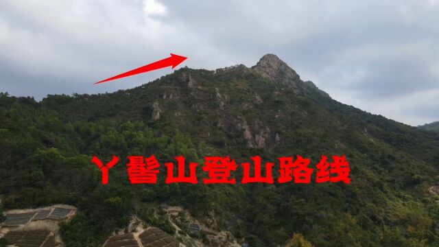 航拍广东中山神湾菠萝基地丫髻山路线图