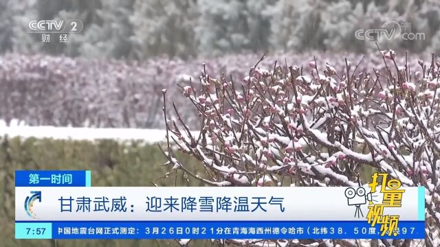 甘肃武威迎来降雪降温天气,交警全力保障市民出行安全