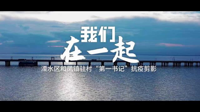 南京市溧水区和凤镇驻村“第一书记”抗疫剪影:我们 在一起