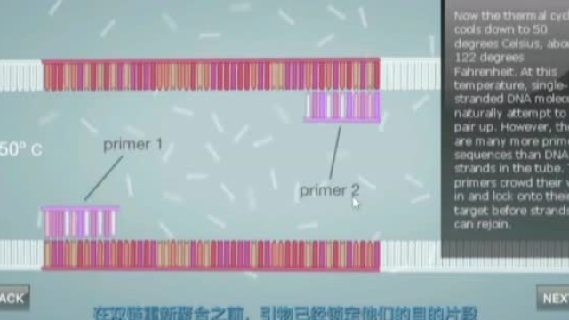 宅家亲子丨居家线上学习,这个资源平台助力素质教育“不掉线”