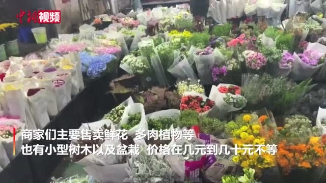 藏在地下的重庆花市:贩卖春日“微幸福”