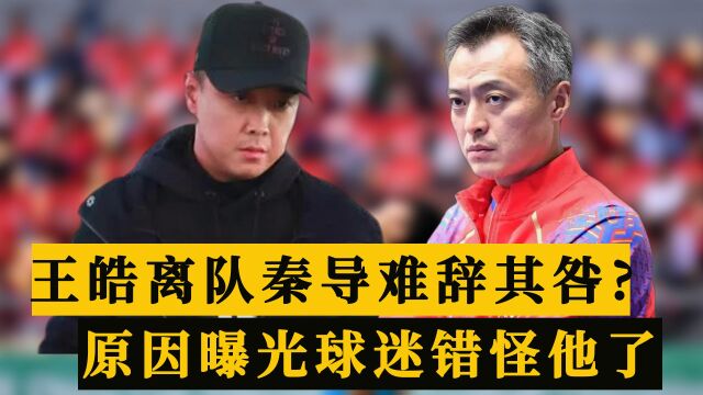 水落石出!王皓离队秦志戬难辞其咎?原因曝光原来球迷错怪他了